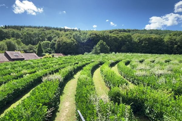 Le Labyrinthe géant de Guéret en Creuse