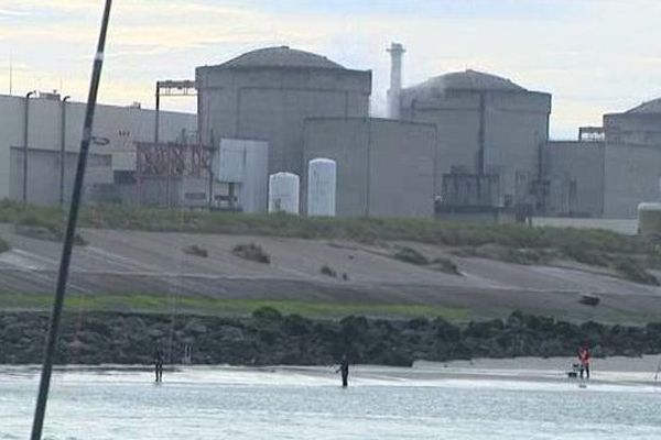 Les bars prolifèrent dans les eaux chaudes rejetées par la centrale nucléaire de Gravelines.