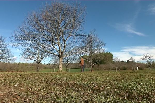 Au pays de la châtaigne et des feuillardiers. 