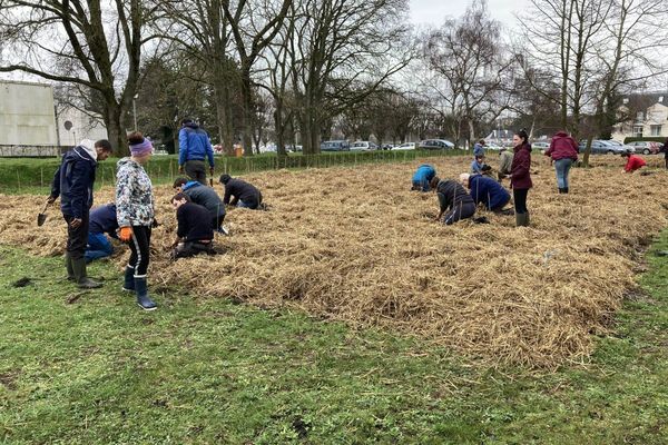 Des volontaires plantent une mini-forêt urbaine sur le campus de l'université de Caen