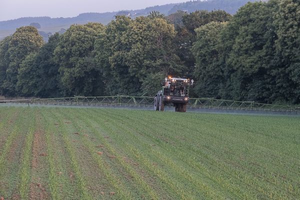 Illustration : épandage d'herbicide dans un champ, une pratique qui peut maintenant être déclarée aux riverains grâce à une application en Charente-Maritime.