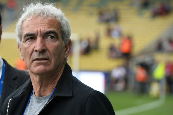 Raymond Domenech se fait chambrer sur Twitter