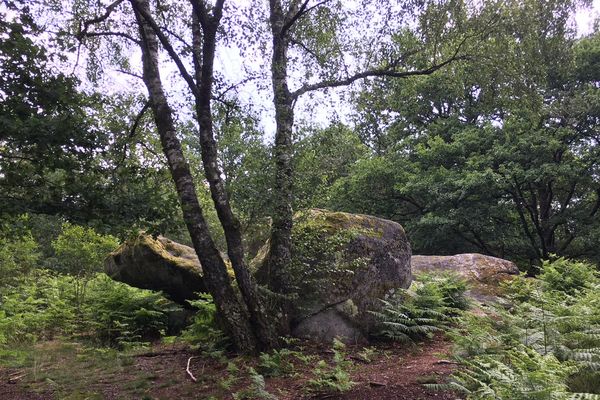 Le rocher de la tortue fait partie du sentier des pierres à légendes de Compreignac