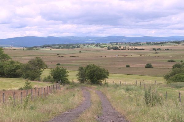 Un collectif est fermement opposé à un projet de carrière dans la narse de Nouvialle dans le Cantal.