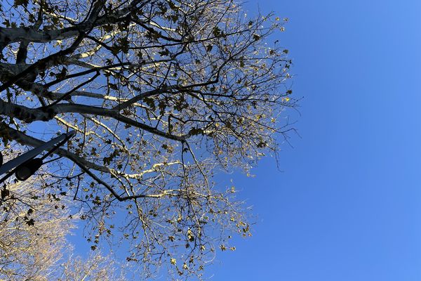 Le ciel azur de Lille