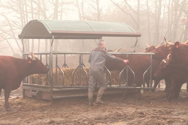 Ces derniers jours, les températures ont considérablement baissées en Bourgogne.