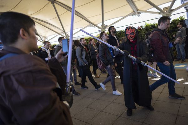 Le 4 mai, les fans de Star Wars célèbrent Chewbacca et ses acolytes de la saga de George Lucas.