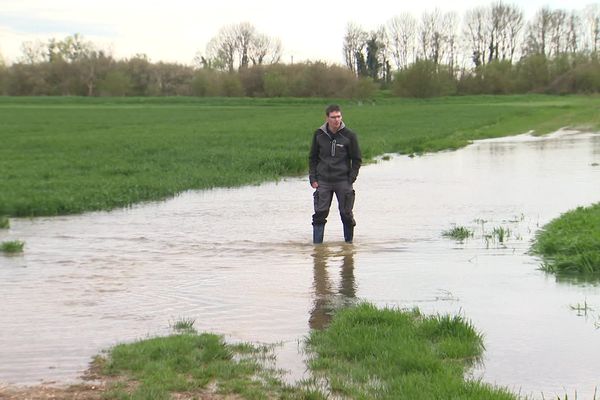 Exploitant de plus de 300 hectares de cultures, Simon Gauffinet a vu les trois quarts de ses parcelles être inondées début avril.