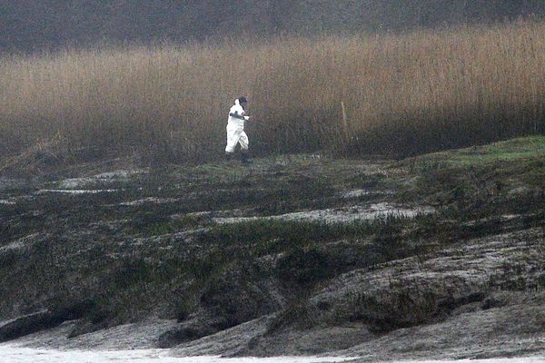 La suite des recherches à Pont-de-Buis dans le cadre de l'affaire Troadec, le 8 mars 2017