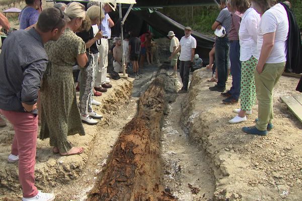 La découverte majeure de la campagne de fouilles de cet été 2023 à Angeac-Charente est végétale