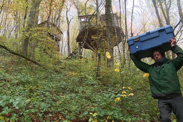 Xavier Marmier a mis trois ans pour construire sa cabane dans les arbres, il s'est donné un an pour la démonter.