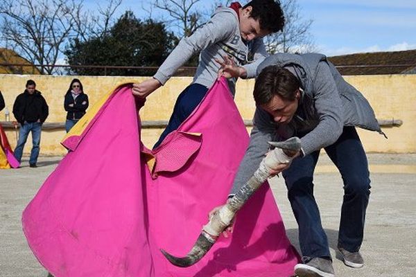 Samedi 5 mars, la Chassagne (13). Plié en deux, cornes faisant l'avion, Juan Bautista "fait le toro" pour un élève de l'école taurine d'Arles.