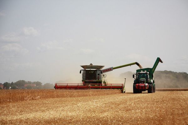 Selon la FNSEA, près de 500 agriculteurs feraient face à des procès intentés par des voisins.