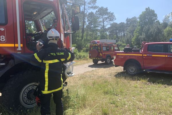 Les pompiers du SDIS 62 apprennent à gérer un départ de feu dans la forêt domaniale de l’Écault, à Condette (Pas-de-Calais).