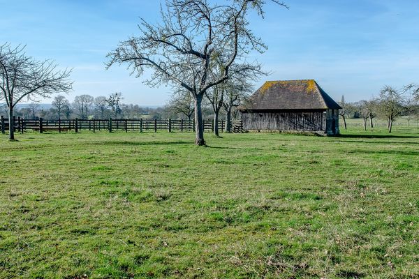 Paysage typique du bocage normand