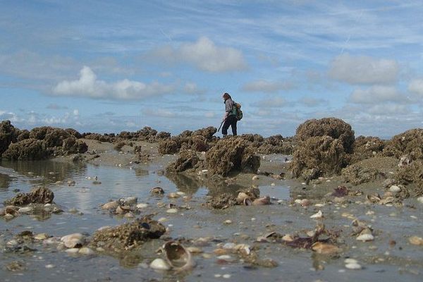 Coefficient de 109 hier et 108 aujourd'hui sur le littoral de la Charente-Maritime