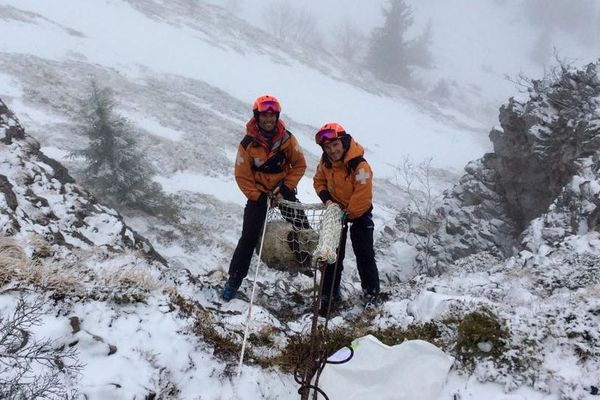 Mathieu et ses collègues ont réussi à sauver une brebis coincée à 2000 mètres d'altitude.