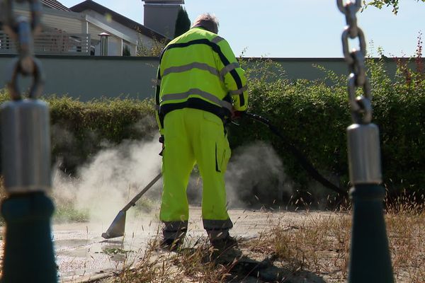 Lance à eau chaude haute pression pour détruire les fourmilières de tapinoma magnum