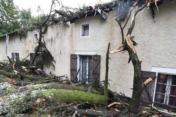 Des arbres tombés sur la toiture d'une maison à Montauban ont endommagé la toiture