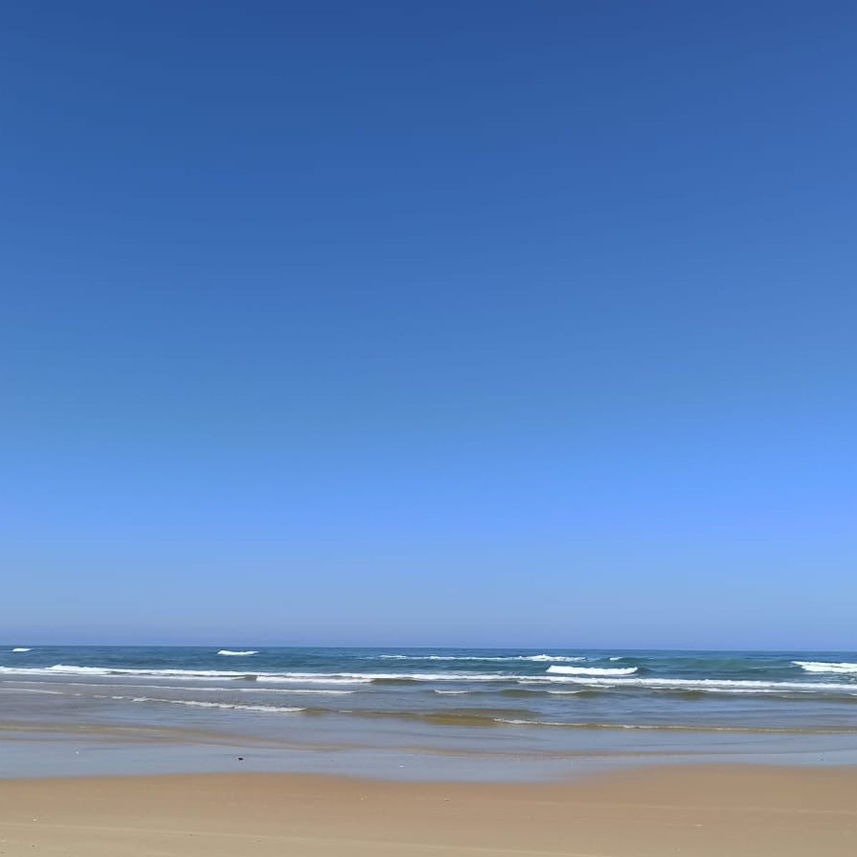 Après la montée des eaux, le retour des bancs de sable sur la