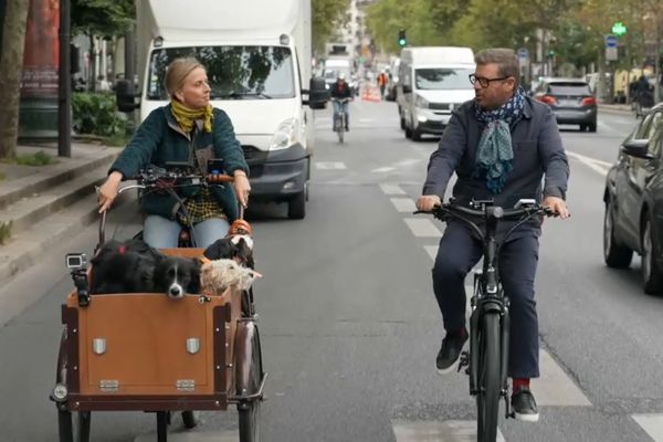 Clémentine promène les chiens, La Meute en Diligence