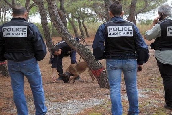 Leucate (Aude) - les policiers sondent le sol de la pinède qui jouxte la station d'épuration de Port-Leucate à l'aide de chiens spécialisés dans la recherche de cadavres - 10 septembre 2013.