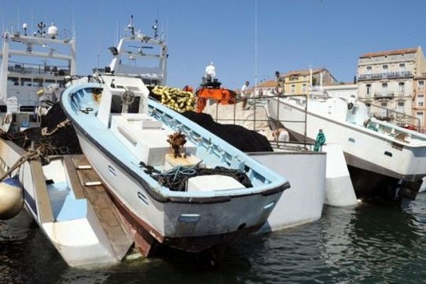 Thoniers dans le port de Sète en 2008