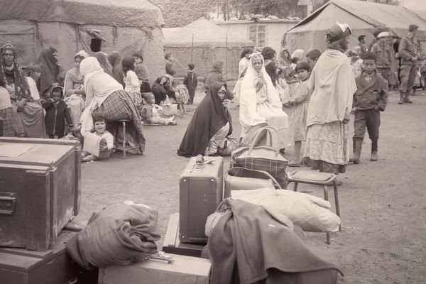 Photos extraites de l'exposition sur la guerre d'Algérie au Musée de la Résistance à Limoges