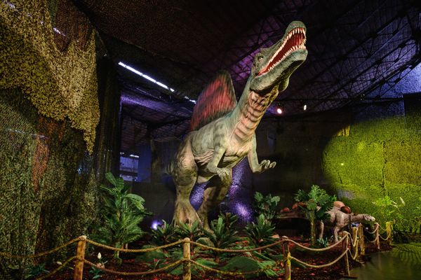 Le monde des dinosaures sera à découvrir à Évreux ce week-end.