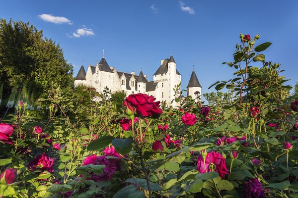 Le château du Rivau et ses rosiers.