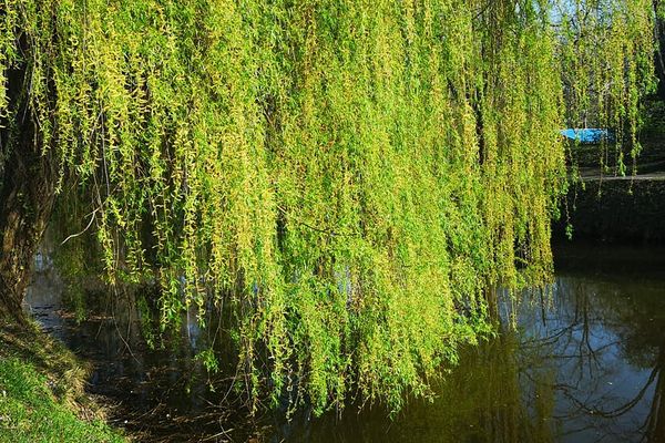 Vos prévisions météo pour ce vendredi 2 avril : encore du soleil