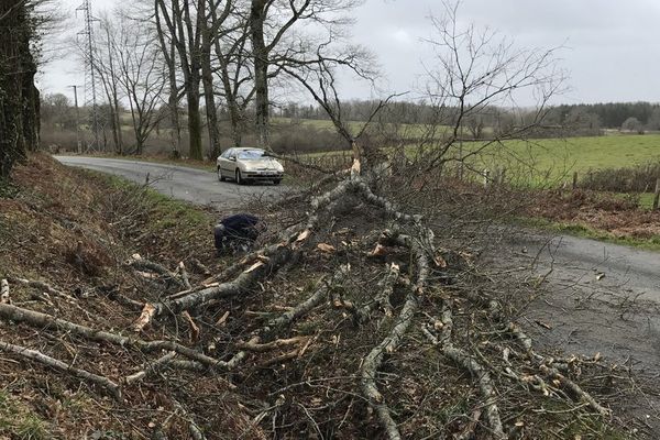 Arbres couchés sur la route : D3 coupée entre Cieux et Oradour-sur-Glane