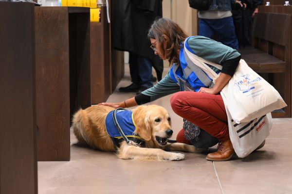 Un chien d'assistance judiciaire et une membre de l'association qui s'en occupe, juste avant le début du procès Millas, à Marseille, le 19 octobre 2022.