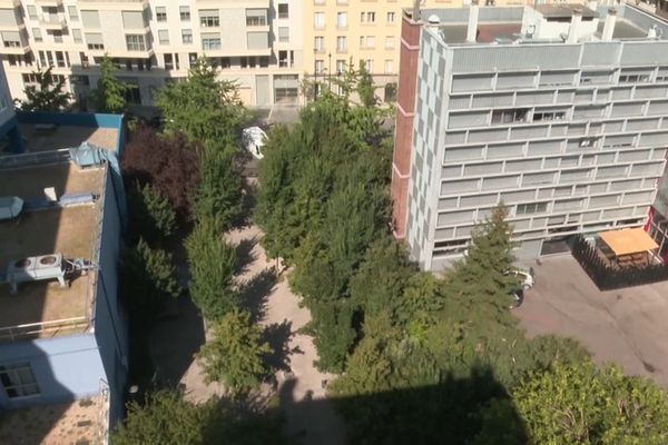 Un îlot de fraîcheur à Aubervilliers au milieu des immeubles