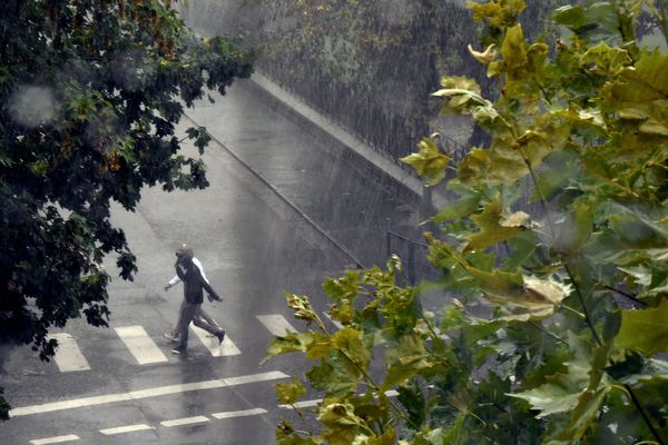 Alerte aux vents violents sur l'Alsace, ce samedi 29 février, de 15 heures à 20 heures