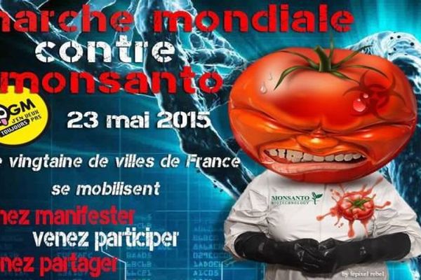 Les associations appellent à une marche contre Monsanto mais c'est tout le modèle agricole productiviste basé sur des intrants chimiques et des OGM qui est en ligne de mire de cette action à l'échelle planétaire.