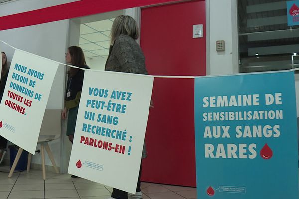 Le Challenge sangs rares se déroule jusqu'au 25 mars à Perpignan.