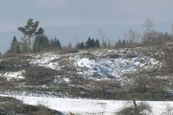 Coupe rase sur le plateau de Millevaches ( commune de Nedde)