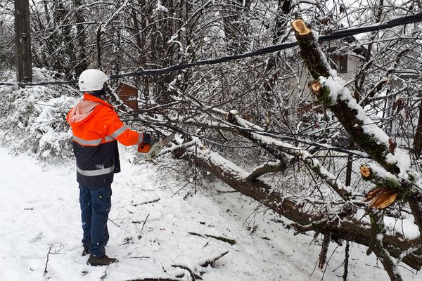 Les chutes de neige ont causé des dégâts sur le réseau électrique.
