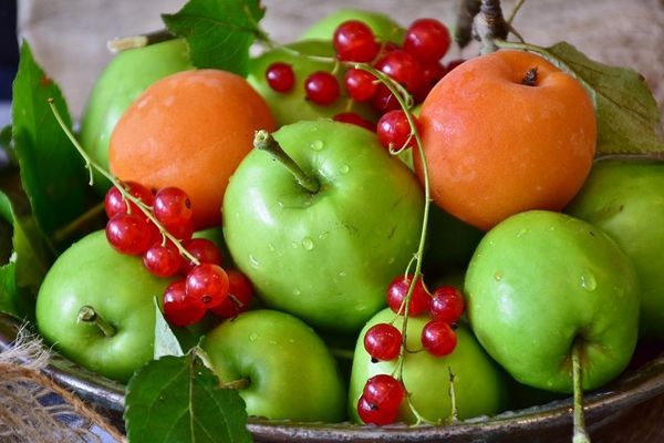 Le programme "Fruits pour la récré" a été créé pour subventionner l'achat de fruits et légumes frais pour les élèves.