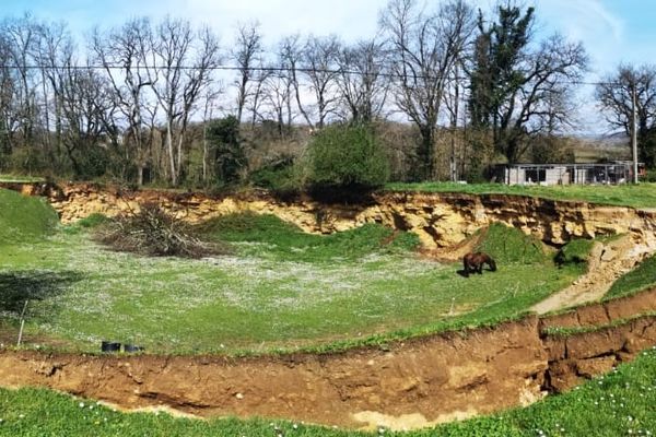 Sultan est isolé dans un pré après un affaissement de terrain. 18/03/21