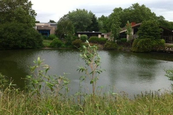 Cinq enfants âgés de 3 à 8 ans sont tombés dans un étang situé dans une zone industrielle des Béthunes de Saint-Ouen-l'Aumône (Val-d'Oise) où ils étaient logés dans un hébergement social.