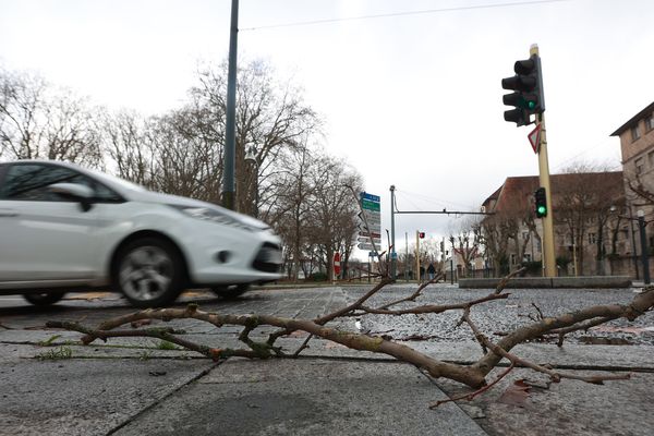 Les fortes rafales de vent  de la tempête Patricia ont provoqué la mort d'une femme dans le Finistère. Un arbre est tombé sur un enfant en Charente-Maritime, son pronostic vital est engagé.