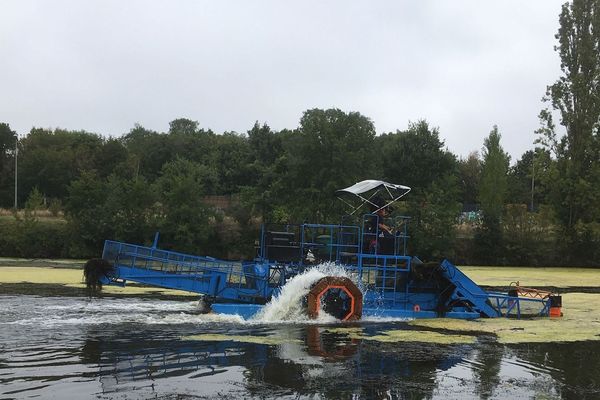 Jusqu'à vendredi, ce bateau "tondeur-moissonneur" va faucher les plantes aquatiques invasives sur un tronçon d'environ 2 km de la Vilaine entre Cesson-Sévigné et Rennes.