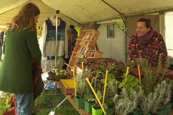 La fête des simples de l'île de Vassivière, entre Haute-Vienne et Creuse, a réuni des producteurs venant de toute la France.