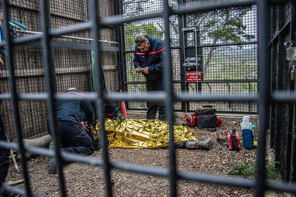 Les pompiers sont intervenus sur un exercice de scecours au sein du parc animalier Ecozonia à Cases-de-Pêne dans les Pyrénées-Orientales.