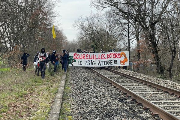 La manifestation des opposants à l'autoroute A 69 a débuté vers 14h. Environ 200 manifestants y participent en présence d'un grand nombre de force de l'ordre.