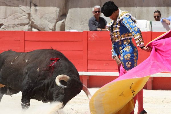 Corrida de la Feria de Pentecôte de Nîmes (2014)
