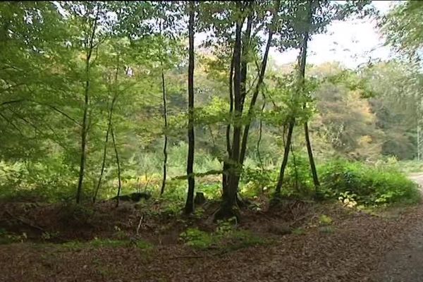 La nouvelle prison de Lure sera construite dans la zone du bois du tertre