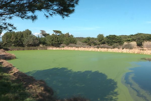 Les eaux usées à Porquerolles